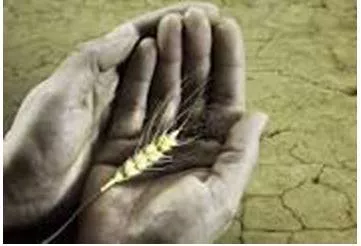 Starved - Suffering or death caused by lack of food.