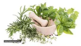Gastroenterologist says he includes these three herbs in his daily diet  ‘last one after my dinner’