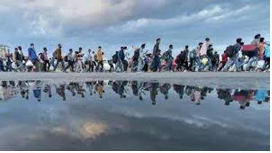 Migrant - A person who moves from one place to another, especially in order to find work or better living conditions.