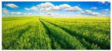 Vast - Of very great extent or quantity. (विशाल) 