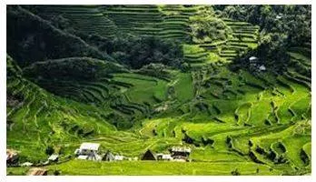 Province - A principal administrative division of a country or empire.
