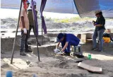 Jaffna mass grave  a test for the dissanayake government