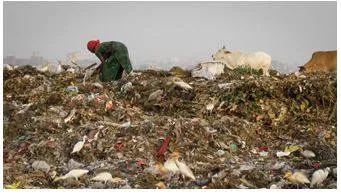 Scavenging - Searching for and collecting discarded or leftover items, often for reuse or survival. (खोज कर इकठ्ठा करना)
