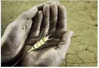 Starvation - Suffering or death caused by lack of food.