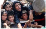 At least 25 killed in israeli attacks in gaza  some while seeking food
