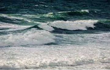 Surged - Increase suddenly and powerfully. (बढ़ती) 