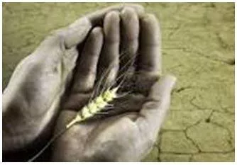 Starvation - Suffering or death caused by lack of food. (भुखमरी)
