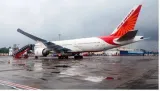 Cockroaches found on san francisco mumbai flight  air india starts investigation