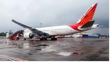 Cockroaches found on san francisco mumbai flight  air india starts investigation