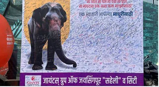 Maharashtra to file petition for elephant madhuri’s return