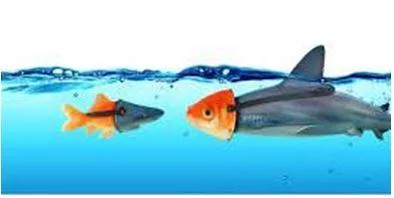 Deceive - Giving an appearance or impression different from the true one.