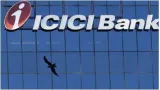 Icici bank minimum balance  check penalty rates for non compliance