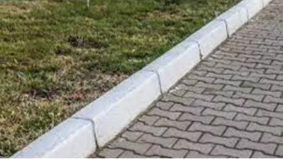 Curbing - A check or restraint on something. (नियंत्रण) 