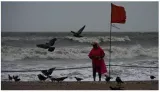 Bmc clears nearly 950 metric tonnes of waste from six mumbai beaches
