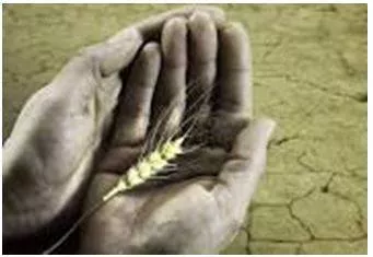 Starvation - Suffering or death caused by lack of food. (भुखमरी)