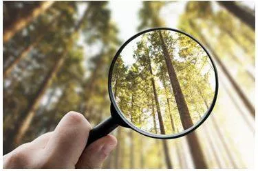 Explicitly - Stated clearly and in detail, leaving no room for confusion or doubt. (स्पष्ट)