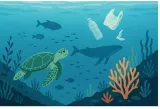 Environment & sustainability