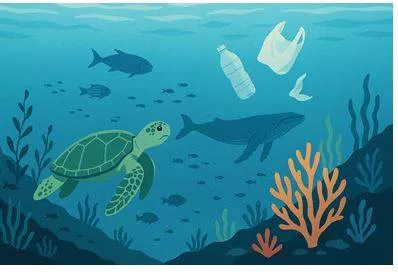 Environment & sustainability