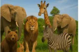 Environment & biodiversity