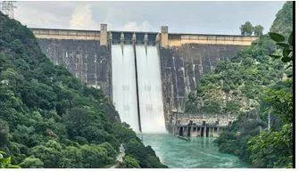 Punjab floods  release of additional 4 500 cusecs would have helped lower bhakra reservoir levels  data