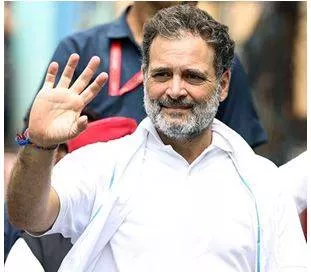 Death of infants in m p  hospital due to rat bites is ‘outright murder’  rahul