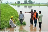 Punjab floods leave farmers stranded between two seasons