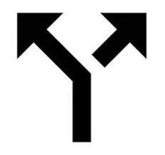 Divert - Cause (someone or something) to change course or turn from one direction to another.