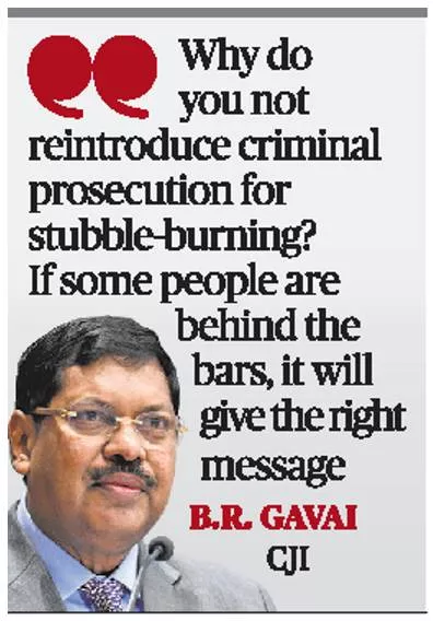 Sc calls for jailing of stubble burners  not feasible  says centre
