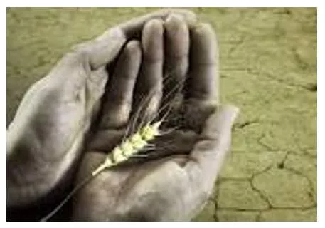 Starvation - Suffering or death caused by lack of food.