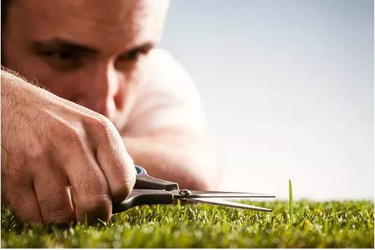 Meticulous - Showing great attention to detail; very careful and precise.