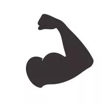 Robust - Strong, healthy, and unlikely to break or fail.