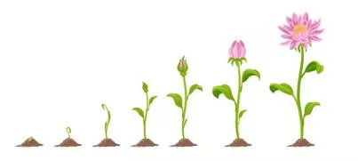 Burgeon - Begin to grow or increase rapidly; flourish. (तेजी से बढ़ना या फलना-फूलना)