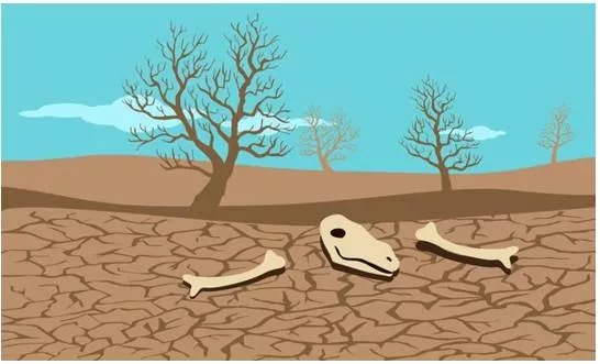 Barren - Unable to produce vegetation, crops, or offspring; unproductive. (बंजर, अनुपजाऊ)