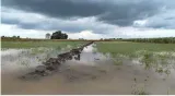 Unseasonal rain damages onion crop in maharashtra farmers launch stir for relief