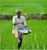 Union cabinet decides to raise fertilizer subsidy for winter crops to 37 952 cr