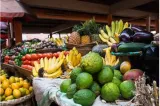 Justice in food systems implies transition to healthy affordable diets