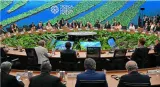 Ahead of cop30 india says it will join global tropical forest protection initiative