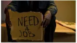 Rural revival urban strain india s jobless rate falls to 5 2 but cracks remain beneath the surface