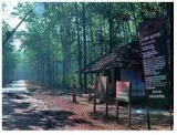 Supreme court directs jharkhand to notify 126 compartments as saranda wildlife sanctuary