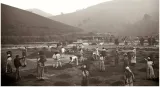 Slavery in latin america on a huge scale was different from that in the united states why don t we know this history