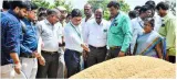Another betrayal says stalinas centre refuses to relaxpaddy procurement norms