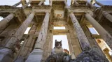 Who belongs to our moral community the greek philosopher empedocles had an answer all life from humans to the laurel bush
