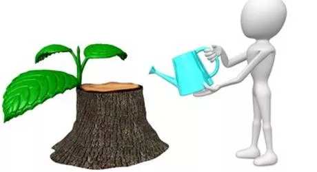 Revive - To bring back to life, strength, or activity; to restore to a better or former condition.