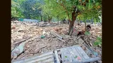 Chandigarh admn moves to build infra on land freed from encroachers