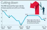Cheaper loans likely as repo rate cut by 25 bps
