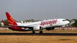 Spicejet comes to the rescue with 100 additional flights amid indigo chaos