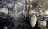 Blaze at goa nightclub kills 25 four detained