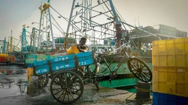World inequality report 2026 top 10 earners in india capture 58 of national income bottom 50 get only 15