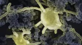 The discovery of organisms that have been alive for many thousands of years requires a revolution in how we understand life