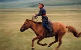 The horse is a prey animal, the human a predator. Our shared trust and athleticism is a neurobiological miracle